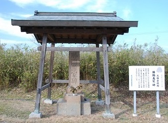 ぎちょうひ