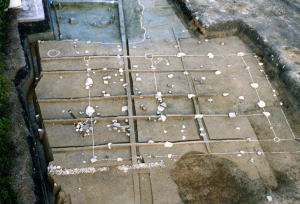 礎石建物跡